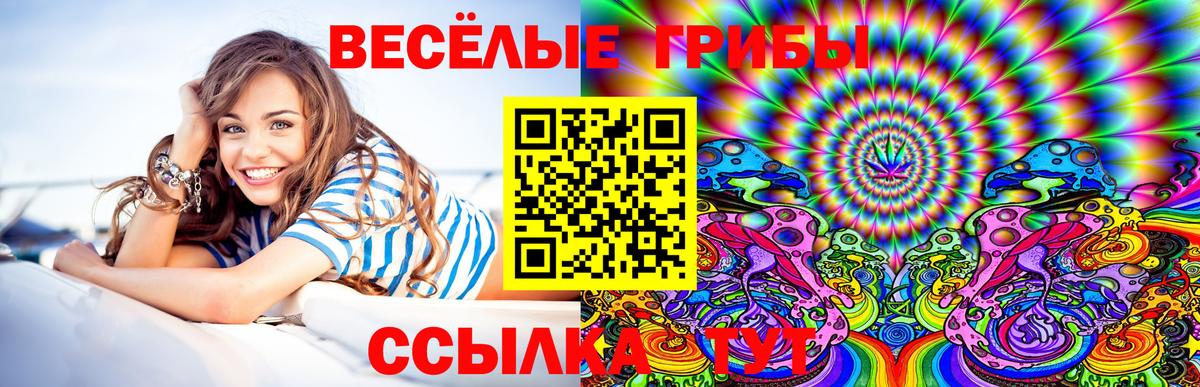 Галлюциногенные грибы Cubensis  Псилоцибиновые грибы Psilocybe  Вход с VPN  Камышин 