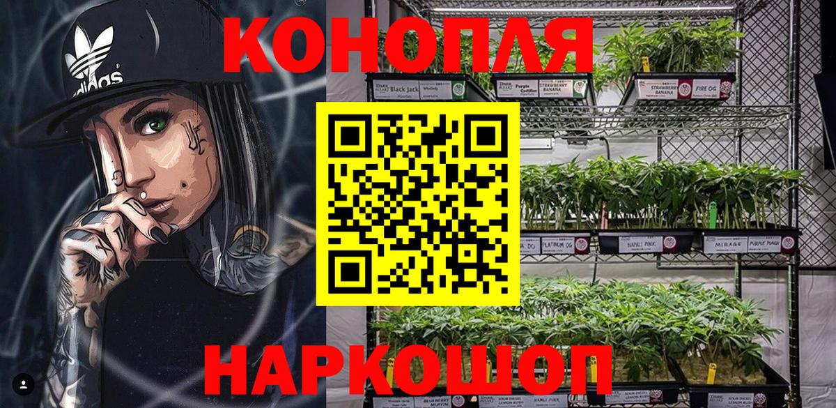 Камышин  Бошки марихуана MAZAR  Бошки Шишки семена  Вход с VPN 